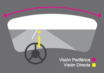 Capacidad visual