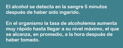 Efectos del alcohol en el conductor